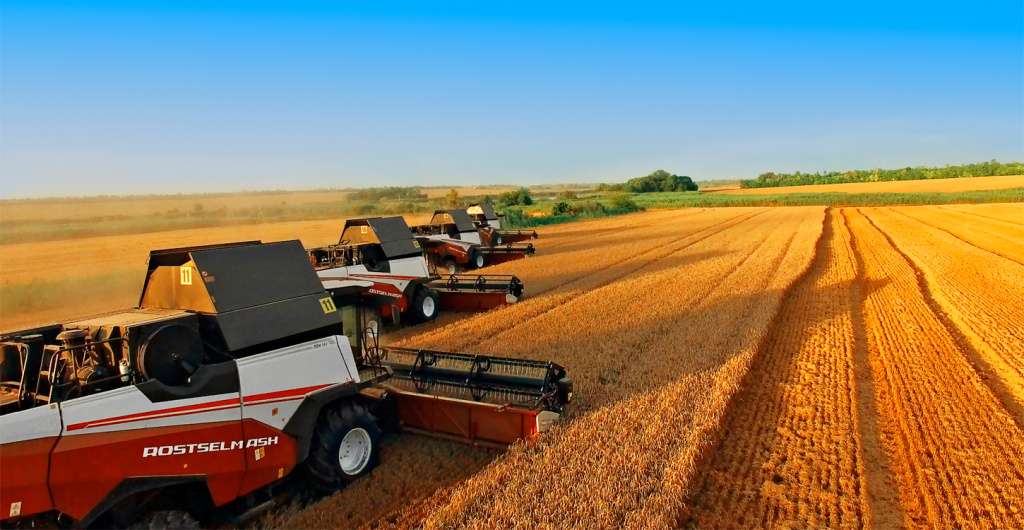 2_2 e5323e88eddd3682973de4a306dfadff.jpeg